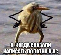  я, когда сказали написать полотно в ас