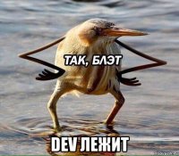  dev лежит