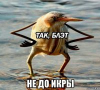  не до икры