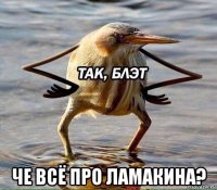 че всё про ламакина?