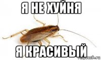 я не хуйня я красивый