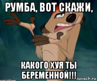 румба, вот скажи, какого хуя ты беременной!!!