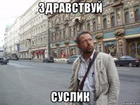 здравствуй суслик