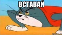 вставай 