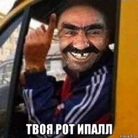 твоя рот ипалл