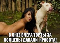  в окее вчера торты за полцены давали, красота!