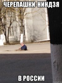 черепашки-ниндзя в россии