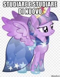 studiare e studiare di nuovo 