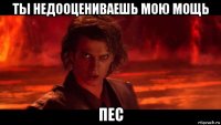 ты недооцениваешь мою мощь пес