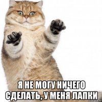  я не могу ничего сделать, у меня лапки
