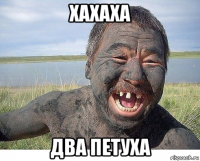 хахаха два петуха