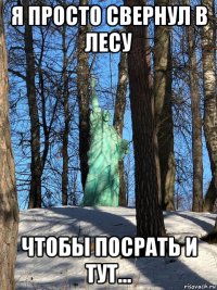 я просто свернул в лесу чтобы посрать и тут...