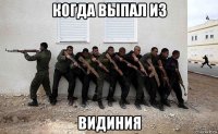 когда выпал из видиния