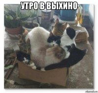 утро в выхино 