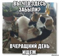 вы что здесь забыли? вчеращний день ищем.