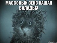 массовый секс кашан болады? 