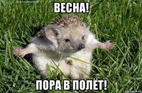 весна! пора в полёт!