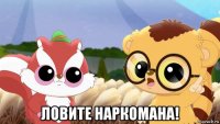  ловите наркомана!