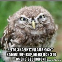  что значит"удаляюсь" камиллочка? меня всё это очень беспокоит