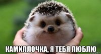  камиллочка, я тебя люблю