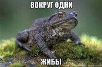 вокруг одни жибы