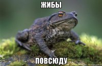 жибы повсюду