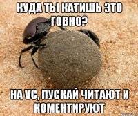 куда ты катишь это говно? на vc, пускай читают и коментируют