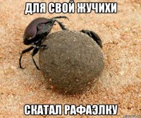 для свой жучихи скатал рафаэлку