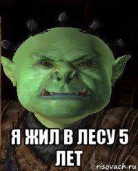  я жил в лесу 5 лет