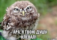  – ара, я твою душу клевал!