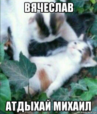 вячеслав атдыхай михаил