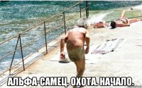  альфа-самец. охота. начало.
