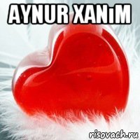 aynur xanım 