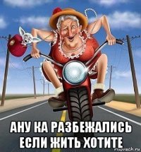  ану ка разбежались если жить хотите
