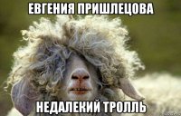 евгения пришлецова недалекий тролль
