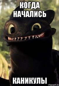 когда начались каникулы