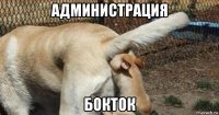 администрация бокток
