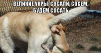 великие укры, сосали, сосем, будем сосать 