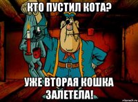кто пустил кота? уже вторая кошка залетела!