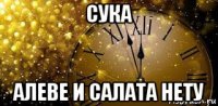 сука алеве и салата нету
