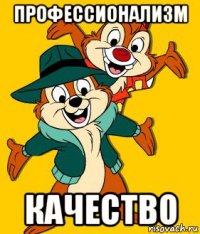 профессионализм качество