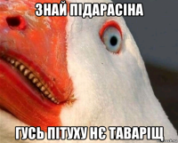 знай підарасіна гусь пітуху нє таваріщ