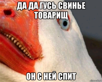 да да гусь свинье товарищ он с ней спит