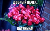 добрый вечер, катенька!