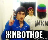  животное