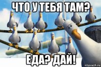 что у тебя там? еда? дай!