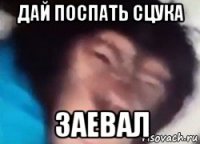 дай поспать сцука заевал