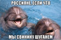 россияне, если что мы свинину шуганем