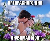 прекрасного дня любимая моя