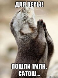 для веры! пошли 1млн. сатош...
